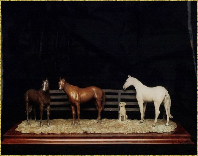 Polo Ponies